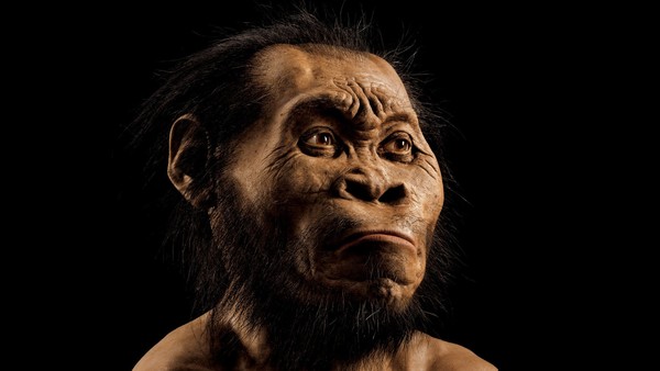 Homo Naledi: trovati in Sud Africa i resti di una specie umana sconosciuta